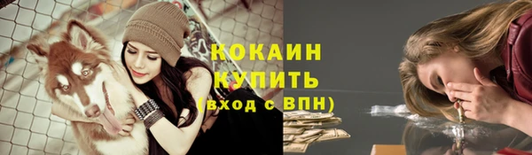 мяу мяу мука Армянск