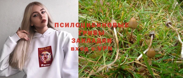 прущие грибы Балахна