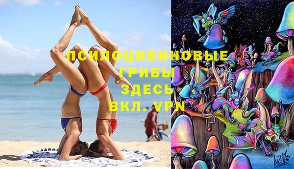 прущие грибы Балахна