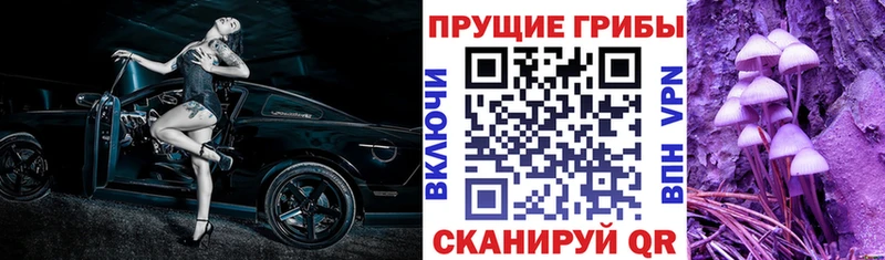 hydra онион  Белозерск  Псилоцибиновые грибы ЛСД  даркнет сайт 