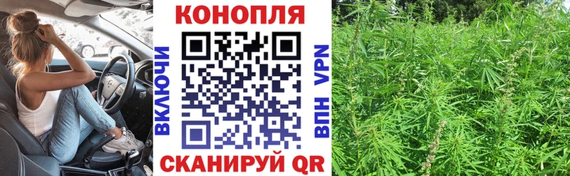 Конопля планчик Белозерск